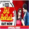 Vikas Records - Dil Bekarar - Single
